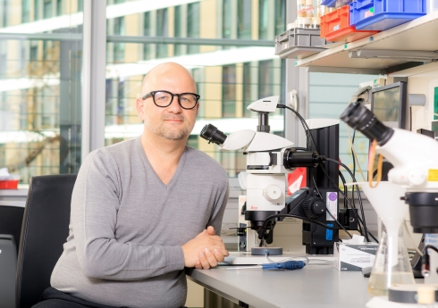 Prof. Tobias Langenhan in seinem Labor am Rudolf-Schönheimer-Institut für Biochemie. Foto: Swen Reichhold/Universität Leipzig
