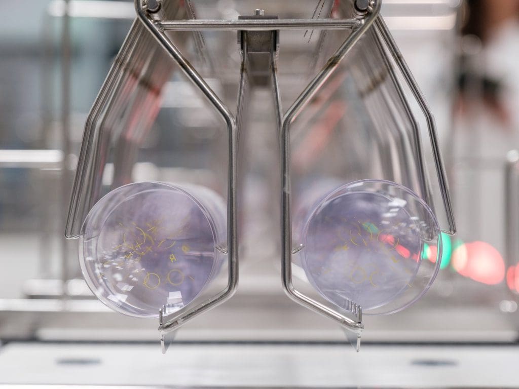 Fertigung im „Laboratoire d'Excellence“, neuer Industriestandort von EssilorLuxottica